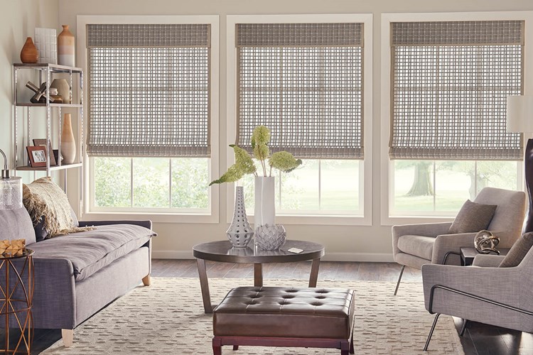 Standard Roman Natural Shades with AutoView Motorized Lift: Trinidad, Owl 00846 with 1&quot; Edge Banding: Taupe 7008 and 9&quot; Standard Valance with Valance-Only Privacy Liner: Taupe 2659