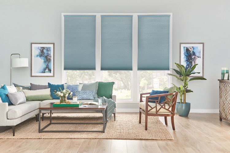 Custom Blinds & Shades for Windows Online