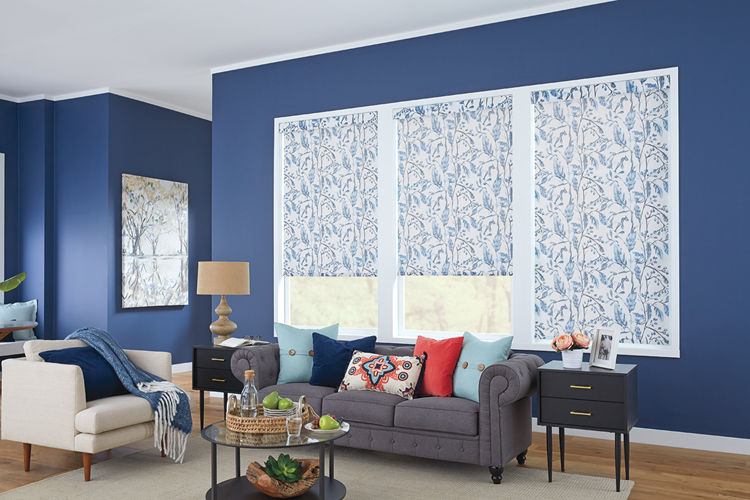 Roller Shades with Cordless Lift: Robin, Waterlily 17401 with Contour Valance