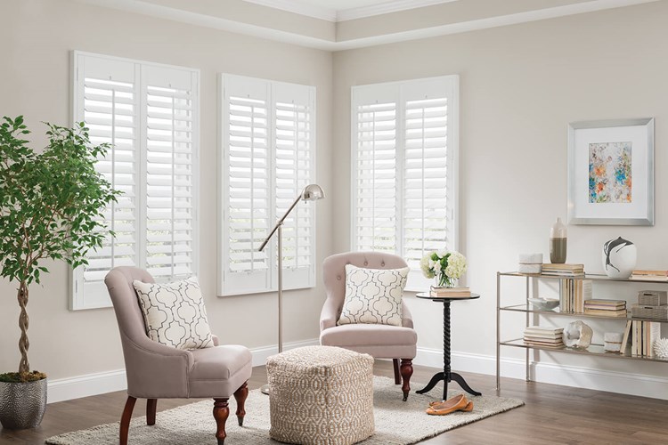 Wood French Door Shutters