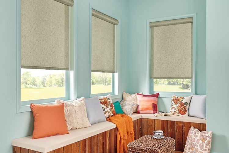 Solar Shades with Cordless Lift: Outline, Wolf 48903 with Cassette Valance